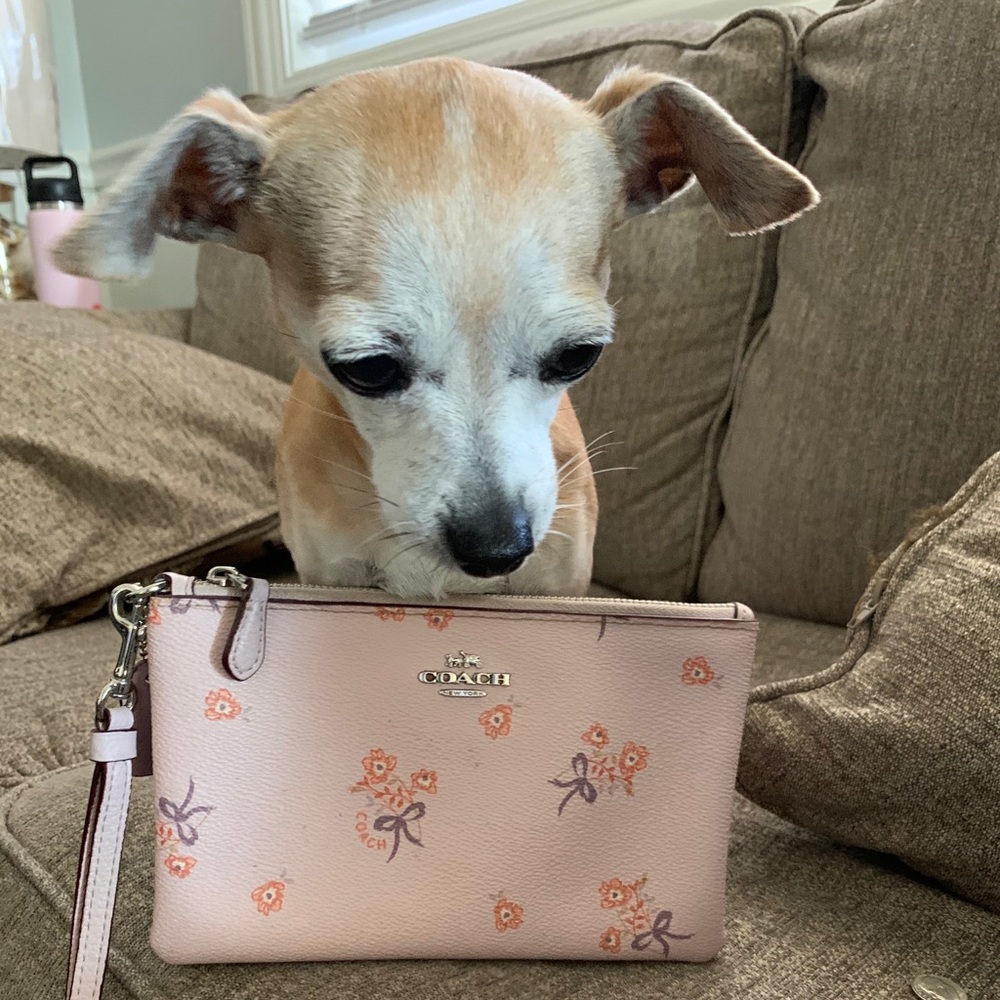 Coach floral wristlet